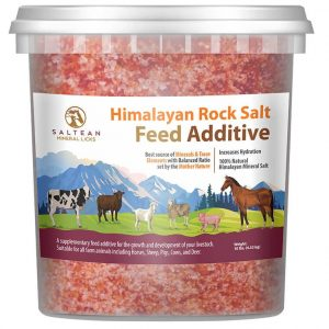 🐮 essential mineral & salt licks for healthy mini highland cows! 🧂