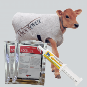 🍼 calf starter kit for mini highland calves – everything you need to raise a healthy calf! 🐮